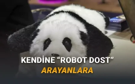 AnAn Panda Robot Tanıtıldı: Peluş Hissi, Dokunma Sensörleri ve Yaşlı Bakımına Odaklı “Terapötik” Deneyim