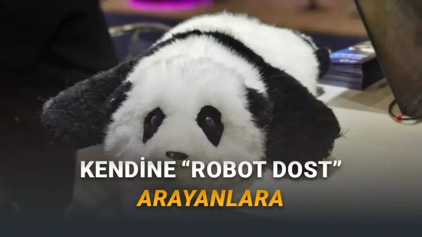 AnAn Panda Robot Tanıtıldı: Peluş Hissi, Dokunma Sensörleri ve Yaşlı Bakımına Odaklı “Terapötik” Deneyim