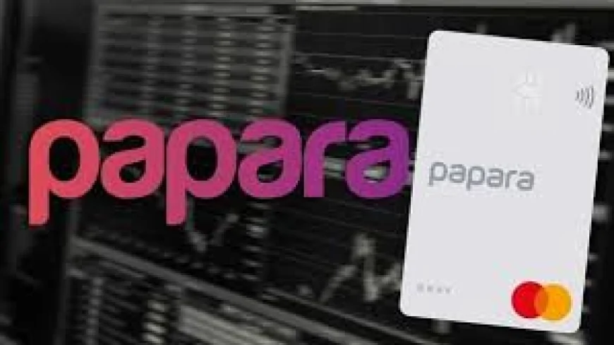 TMSF Papara’yı Satışa Çıkardı İhale Süreci ve Tüm Detaylar Netleşti