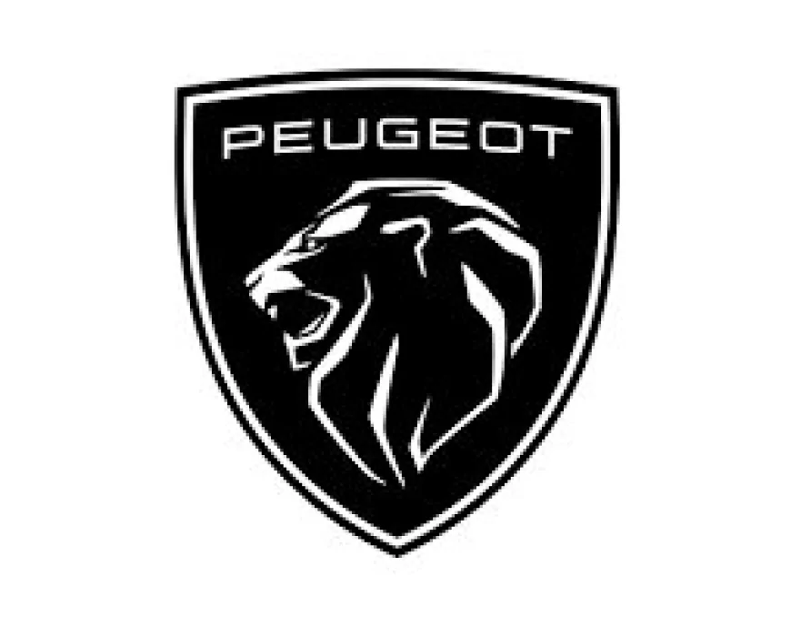 Peugeot OBD2 Arıza Kodları ve Anlamları Çözüm Rehberi